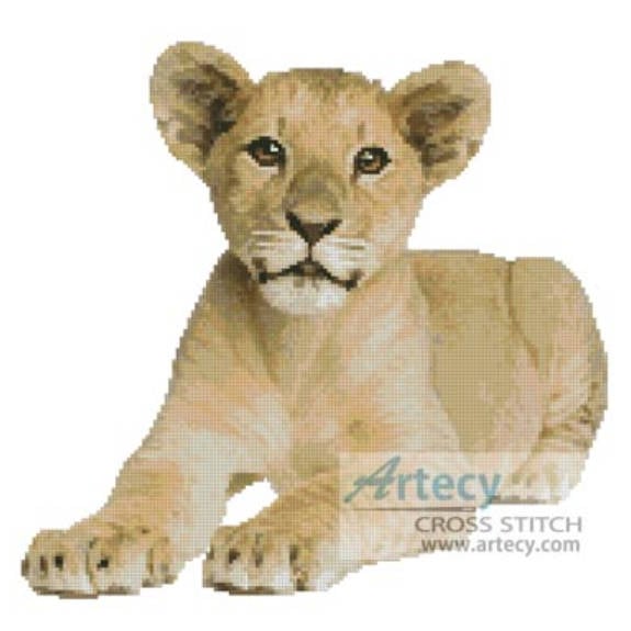 Lion Cub 2 (photostogo.com)